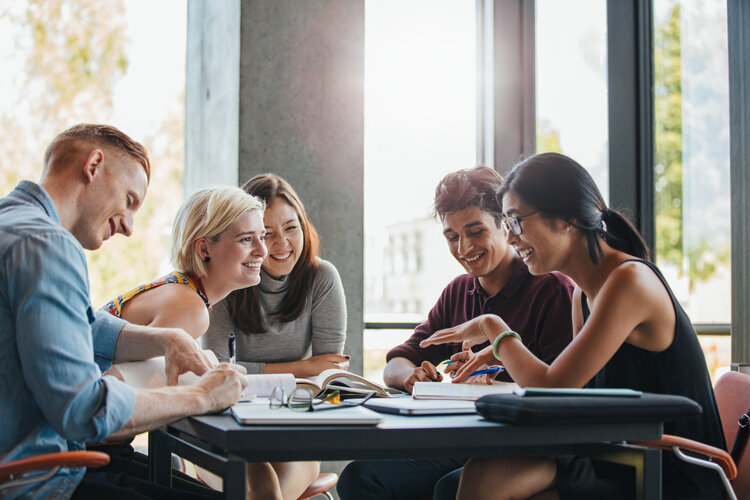 diverse group studying